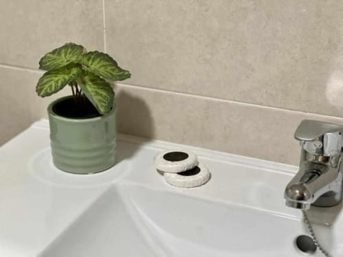 Lavamanos del baño en Apartamentos AlmaMaterSalamanca con planta de menta en maceta y grifo cromado