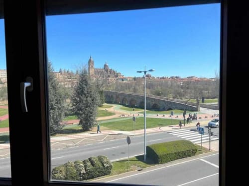 Vista desde Apartamentos AlmaMaterSalamanca mostrando la Catedral de Salamanca y monumentos históricos de la ciudad sobre áreas verdes