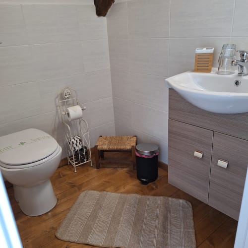 Modern bathroom in Locanda del Sasso apartment, Crodo featuring white sink, toilet, wooden flooring and tiled walls