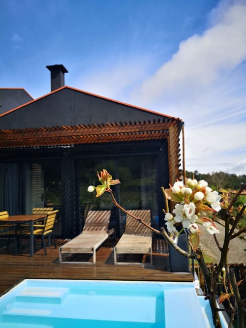 Casa de montanha Em Xisto em Góis com piscina, deck de madeira, arquitetura moderna preta e planta em flor
