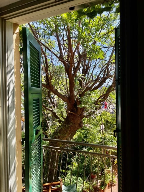 Aussicht vom Balkon des Hotel Beau Rivage in Alassio, Italien, mit Blick auf üppige grüne Äste und umliegende Vegetation