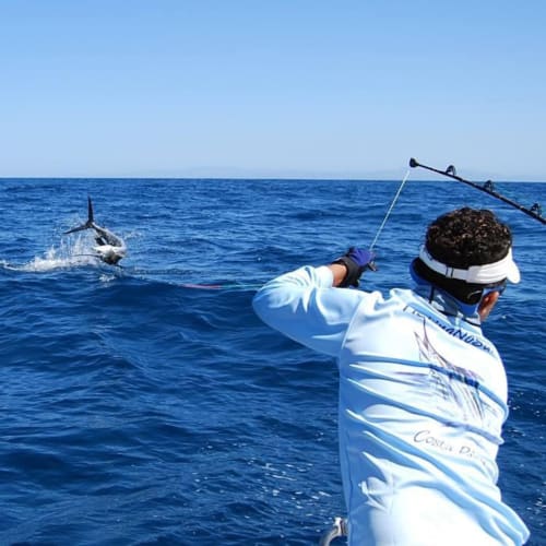 Deep sea fishing off Costa Rica's Nosara coast with marlin catch in blue ocean waters