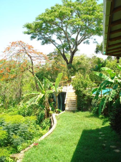 Lush garden pathway at Villa Mango B&B in Nosara with tropical trees, green lawn, and wooden stairs leading to property.