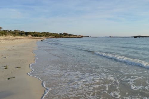 Platja bonica amb onades suaus a Colonia de Sant Jordi, aigua blava cristal·lina i litoral arenós amb vegetació costanera