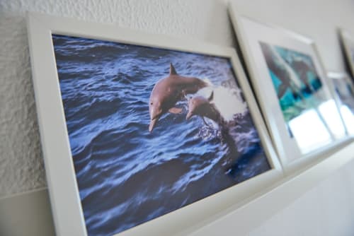 Fotografia emmarcada de dofins en aigües blaves de l'oceà, exposada a la paret d'un apartament amb vistes al mar a Colònia de Sant Jordi