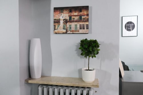 Moderna libreria dell'appartamento a Dimore Verona con vaso bianco, pianta in vaso e opera d'arte murale a Verona