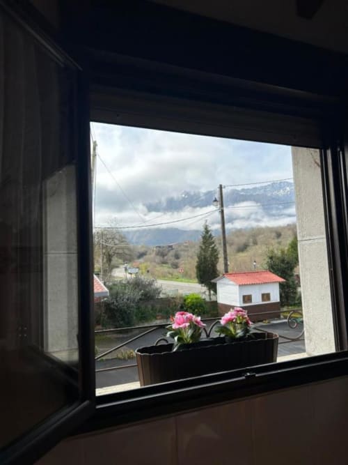 Vista de montaña desde la ventana del apartamento Las Llaviadas en Ortiguero de Cabrales con flores rosas en el alféizar