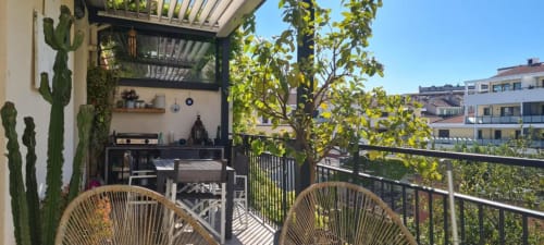 Terrasse ensoleillée du Cocon de Chris à Marseille avec fauteuils tressés, cactées en pots, plantes grimpantes et vue sur la ville