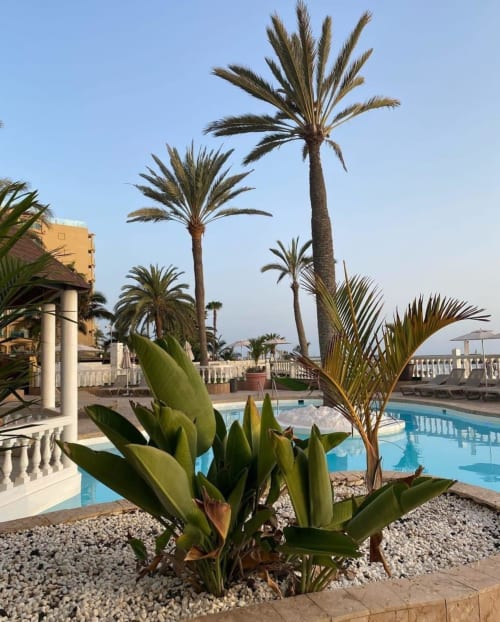 Poolbereich eines tropischen Resorts mit Palmen, Kakteengewächsen und Meerblick in Arguineguín