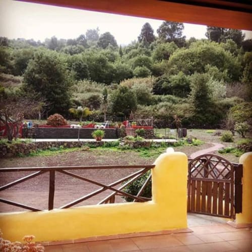 Terraza de Casonas de Marengo con barandillas amarillas con vistas a jardines y exuberante vegetación en Icod de los Vinos