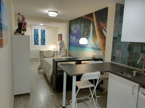 Estudio moderno en Megaleon Segovia con cocina americana, mesa de comedor, cama, arte mural tropical y comodidades