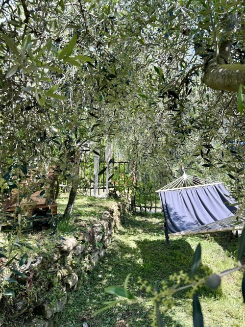 Jardin viticole luxuriant avec hamac et hébergement en tente à l'Agriturismo Stecadò à Dolceacqua, Italie