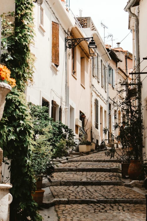 Ruelle pavée de charme à Saint-Rémy-de-Provence avec bâtiments blancs couverts de lierre et plantes en pots au Mas F