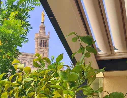 Vue de la cathédrale de Marseille depuis la terrasse de l'hôtel Le Cocon de Chris avec plantes vertes et ciel bleu