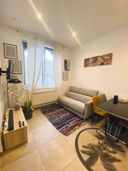 Studio moderne à Illkirch-Graffenstaden avec canapé gris, espace de travail, plantes et décoration contemporaine