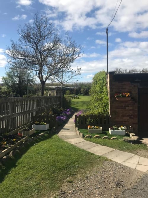 The Ball Alley B&B garden pathway in Stanley, County Durham, with flowering planters, white fencing, and tree canopy overhead