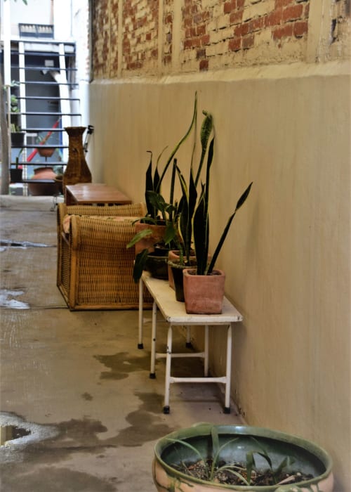 Patio del departamento LLUNA en Oaxaca con plantas en macetas, muebles de mimbre y muros de ladrillo expuesto