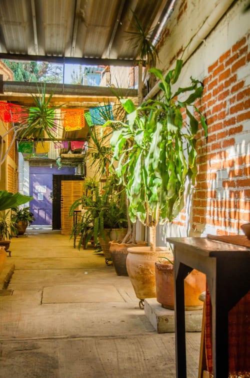 Patio del departamento LLUNA en Oaxaca con plantas en macetas, puertas coloridas, muros de ladrillo e iluminación natural a través de láminas corrugadas
