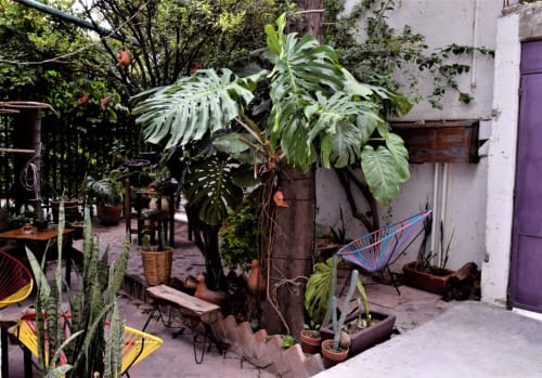 Exuberante patio del departamento LLUNA en Oaxaca con plantas tropicales, hamaca y arquitectura colonial
