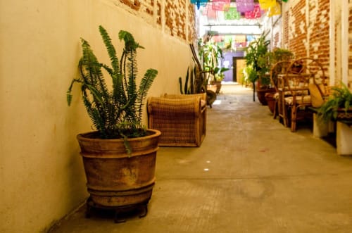 Pasillo angosto de muros amarillos en el departamento LLUNA de Oaxaca con helechos en macetas y canastas rústicas, textiles coloridos en el techo.