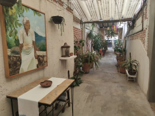 Encantador patio del departamento LLUNA en Oaxaca con plantas en macetas, banco rústico y obras de arte