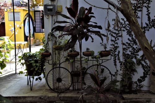 Patio del apartamento LLUNA en Oaxaca con maceta de bicicleta decorada con flores oscuras y enredaderas en muros blancos