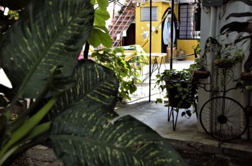 Exuberante vegetación enmarca un soleado patio del departamento LLUNA en Oaxaca, con edificio amarillo y bicicleta visible