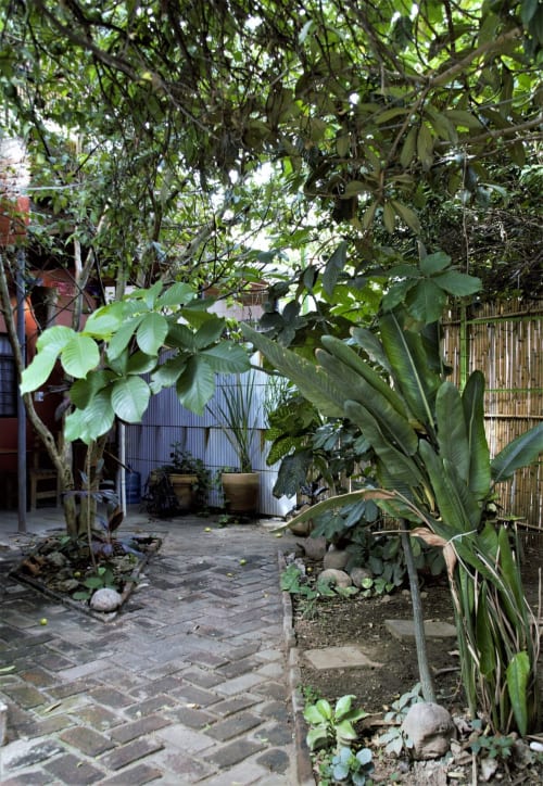 Exuberante patio tropical en departamento LLUNA de Oaxaca con terraza de ladrillo, plantas colgantes y abundante vegetación