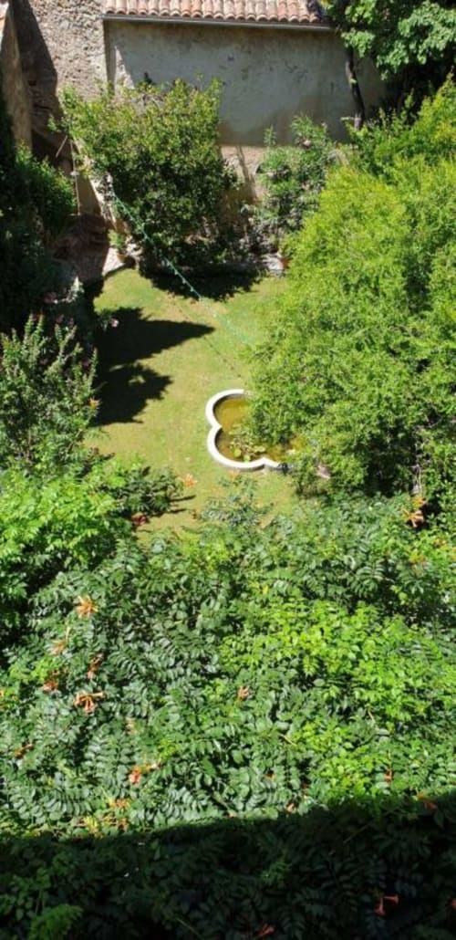 Jardin verdoyant de la Cordeline B&B à Brignoles avec bassin courbe et végétation luxuriante