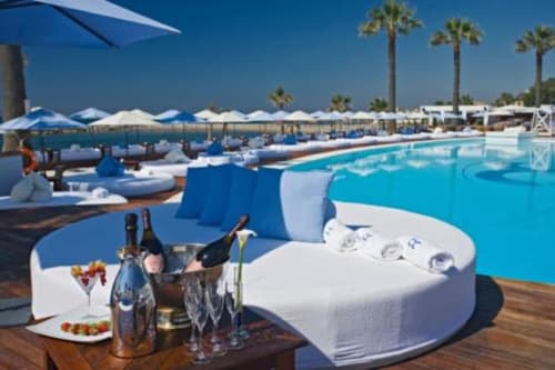 Luxury poolside area in Marbella with blue loungers, palm trees, and turquoise water