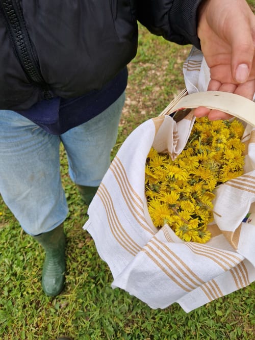 Personne tenant des fleurs sauvages jaunes enveloppées de tissu à la Maisonaurinko B&B à Thénon, France