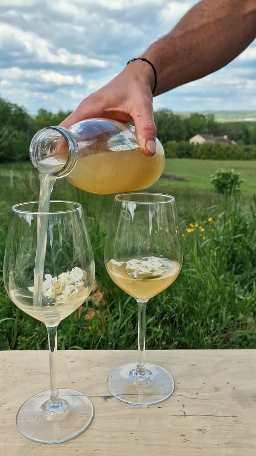 Main versant du thé aux herbes dans des verres à la Maisonaurinko B&B, Thenon avec vue sur la campagne française rurale