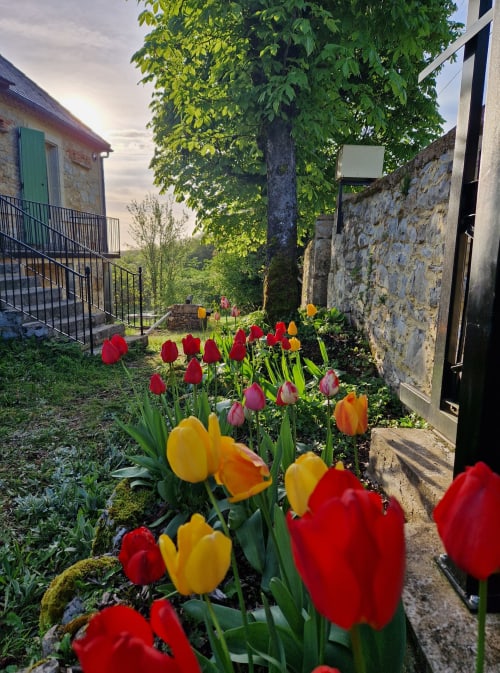 Allée de tulipes colorées du gîte Maisonaurinko à Thénon, France, avec bâtisses en pierre et verdure luxuriante