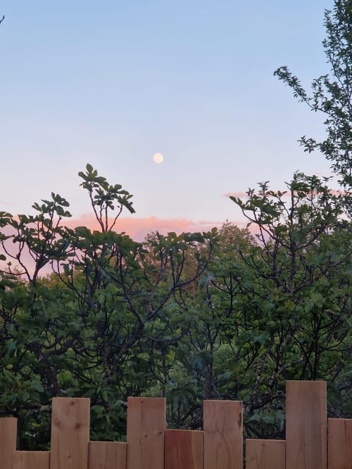 Vue du jardin à la Maisonaurinko B&B à Thénon, France, avec lever de lune sur la végétation luxuriante