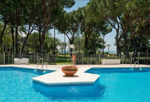 Luxury beachfront apartment pool with tropical trees and Mediterranean Sea view in Marbella, Puerto Banús