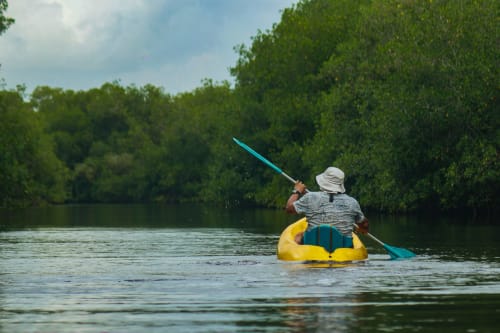 Persona en kayak en tubo amarillo en aguas tranquilas cerca del hotel Olamar Living, Coveñas, Colombia, rodeada de frondosos árboles de mangle