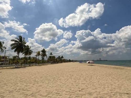Playa de arena del hotel Olamar Living en Santiago de Tolú con palmeras, cielo azul y nubes blancas
