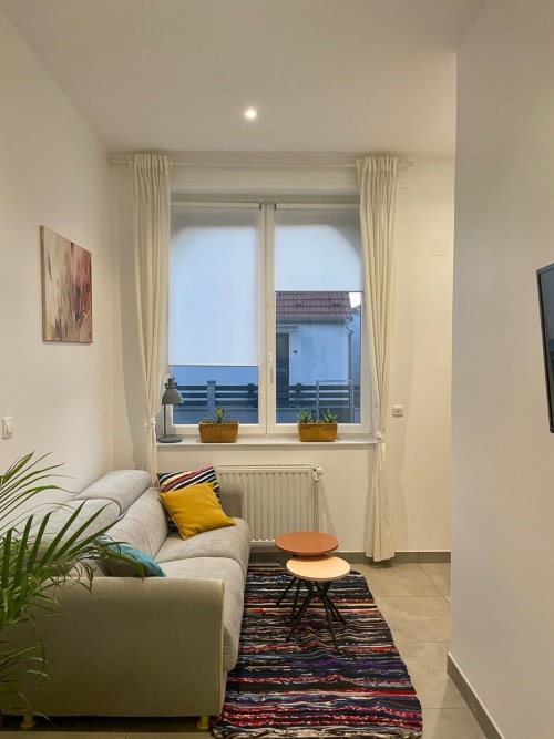 Appartement moderne à Illkirch-Graffenstaden avec vue sur la ville, canapé crème, tapis coloré et plantes en pot près de la fenêtre