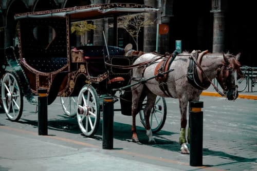 Historic horse-drawn carriage at The Ball Alley B&B in Stanley, County Durham
