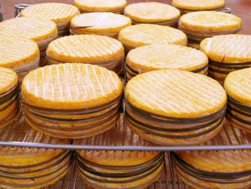 Fromage Livarot que l'on peut déguster au Domaine des Thomins Maison d'hôte Cisai Saint-Aubin Hôtel Gacé