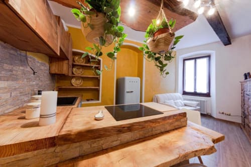 Moderna cucina veronese con piani in legno, pareti gialle, piante sospese e elettrodomestici in acciaio inox