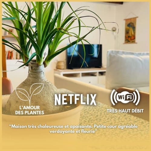 Salon cozy avec plante en pot, logo Netflix et icône WiFi à la Conciergerie Pour Tous By Patty à Darazac