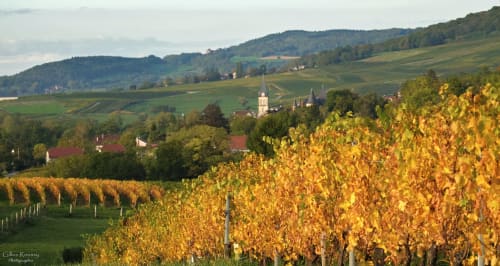 Lavigny, Gite, Sauna, Hébergement, Jura, Château-Chalon, Baume-les-Messieurs, Lons-le-Saunier, Cascades du Hérisson