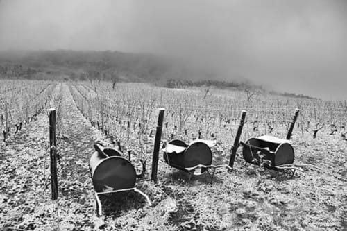 Gite Le Douglas, Vignoble et reculées du Jura