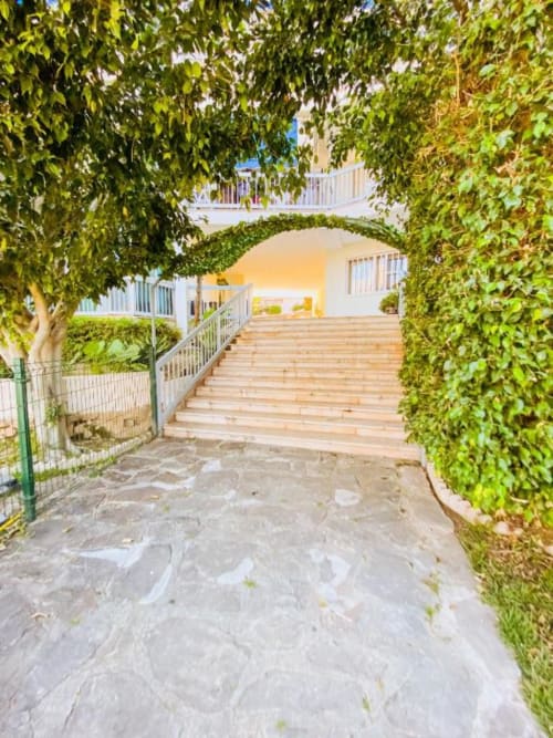 Lush green ivy-lined pathway leading to wooden stairs at Zafiro Apartments in Benidorm, Spain