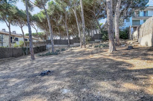 Shaded garden courtyard with tall trees at Finques Garcia Enrich apartment in Palafrugell, featuring outdoor seating area and