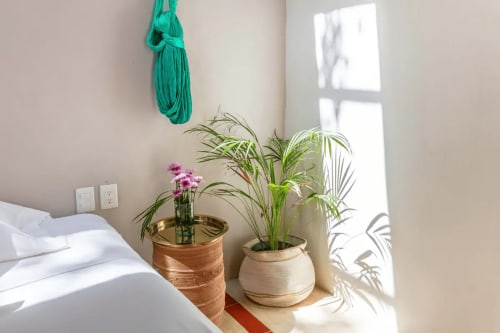 Luminosa habitación en Casa Tuch Mérida con plantas en maceta, colgante turquesa y luz natural de ventana