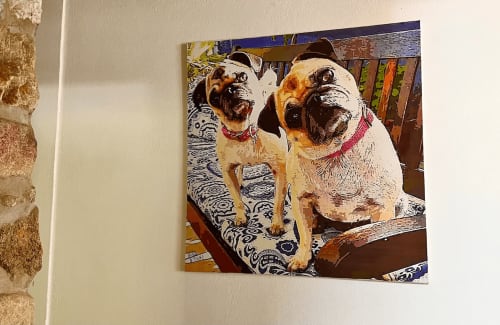 Dos pugs con collares rosas descansando en un cojín decorado del hotel Calilla & Tsuki en Puerto Escondido, México