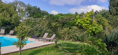 L'espace piscine Les papillons de baccara à Gondrin avec transats, pergola couverte de vignes et jardins paysagés