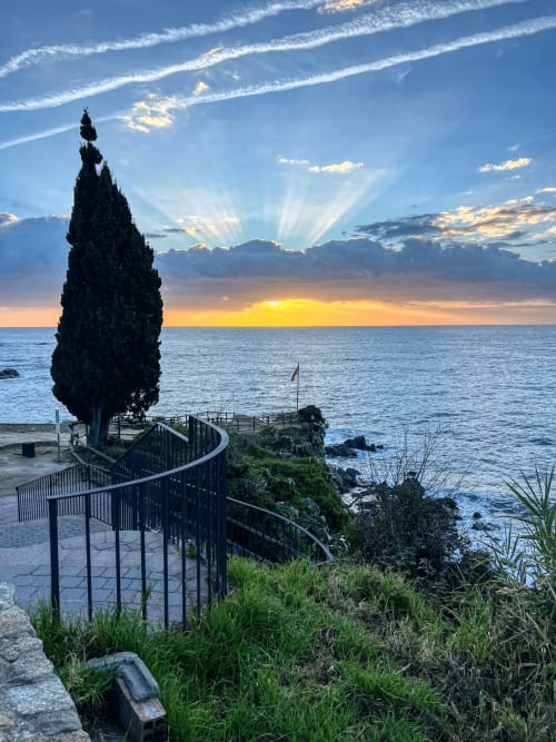 Posta de sol a Finques Garcia Enrich, Palafrugell: passeig litoral amb xiprés esvelt amb vistes al mar Mediterrani
